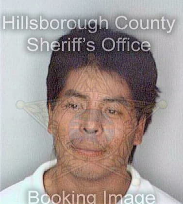 Mendezreynoso Rafael - Hillsborough County, FL 