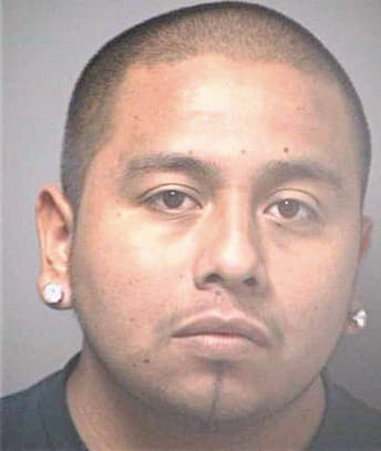 Sanchez Fernando - Hillsborough County, FL 