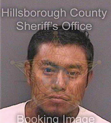 Jimenezguzman Augustin - Hillsborough County, FL 