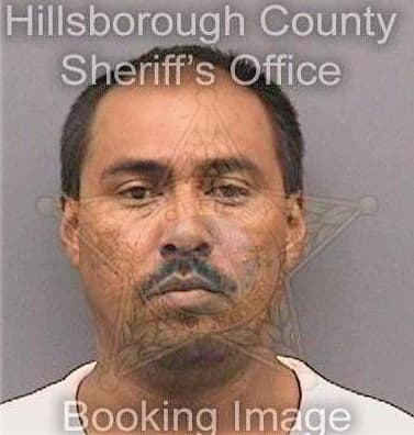 Contreras Leonel - Hillsborough County, FL 