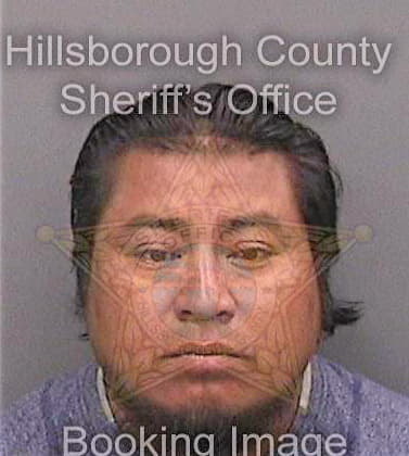 Barrios Felix - Hillsborough County, FL 