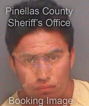 Gonzalez Vincente - Pinellas County, FL 