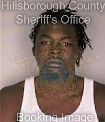 Mcdonald Dameon - Hillsborough County, FL 