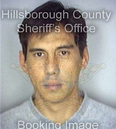 Lopez Ivan - Hillsborough County, FL 