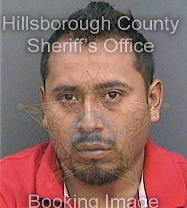 Reyes Jose - Hillsborough County, FL 