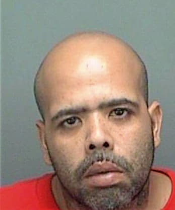 Gonzalez Luis - Pinellas County, FL 