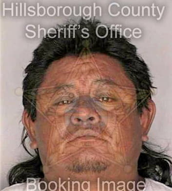 Hernandez Ernesto - Hillsborough County, FL 