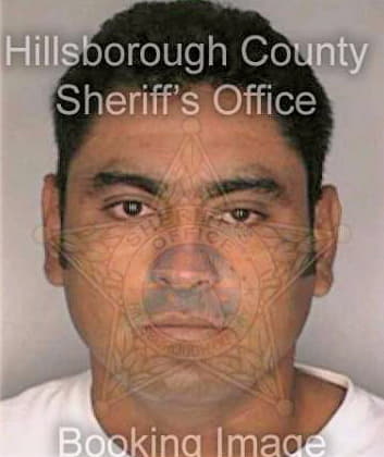 Pesinamartinez Geraldo - Hillsborough County, FL 