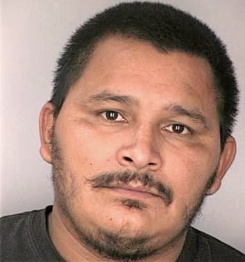 Mendoza Jose - Hillsborough County, FL 