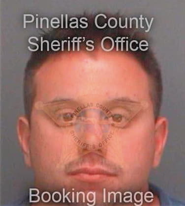 Derosa Michael - Pinellas County, FL 