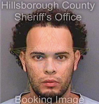 Lopezrodriguez James - Hillsborough County, FL 