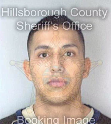 Perez Jared - Hillsborough County, FL 