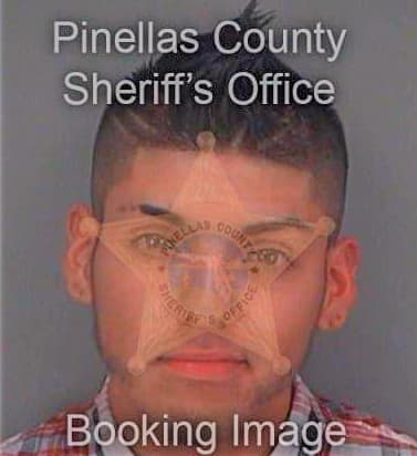 Garcia Alexander - Pinellas County, FL 