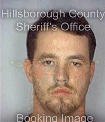 Mcelravy Brian - Hillsborough County, FL 