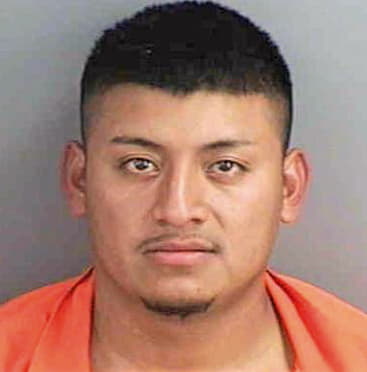 Esteban Jose - Collier County, FL 