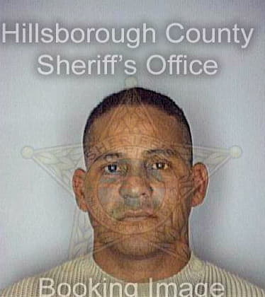 Rivas Jose - Hillsborough County, FL 