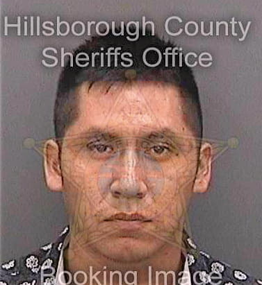 Gomezdiaz Rosendo - Hillsborough County, FL 