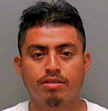 Santos Armin - Lee County, FL 