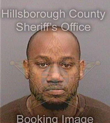 Jimerson Deuntae - Hillsborough County, FL 