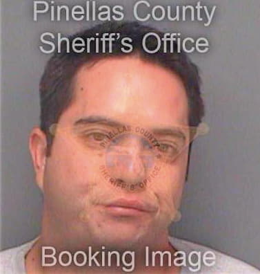 Craig Eric - Pinellas County, FL 