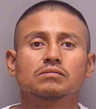 Bautista Luis - Lee County, FL 