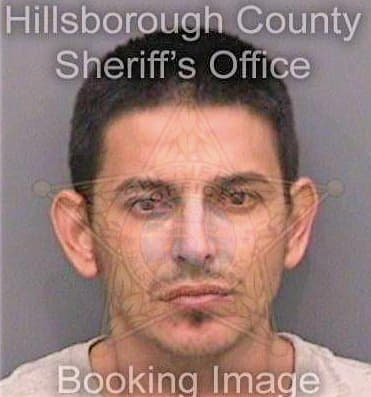 Saldana Jesus - Hillsborough County, FL 