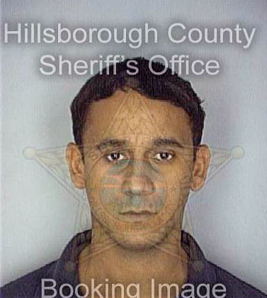 Perez Eric - Hillsborough County, FL 