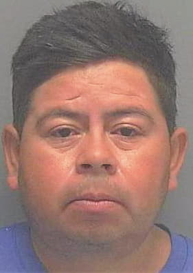 Santiago Misael - Lee County, FL 