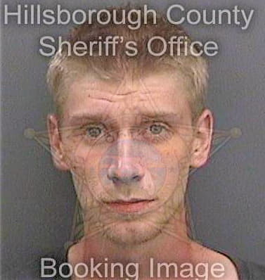 Loew David - Hillsborough County, FL 