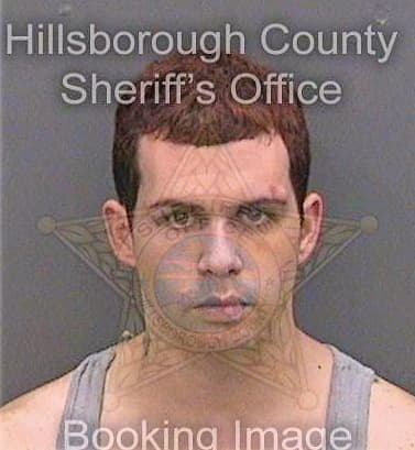 Cardoza Luis - Hillsborough County, FL 