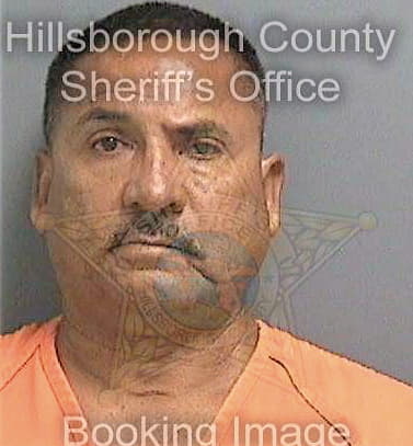 Sanchezgonzalez Armando - Hillsborough County, FL 