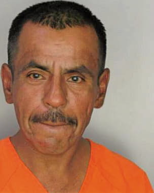 Mendoza Valentin - Hillsborough County, FL 