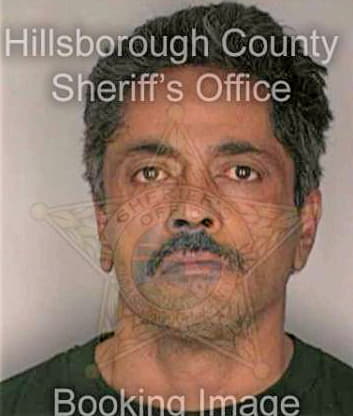 Medina Cesar - Hillsborough County, FL 