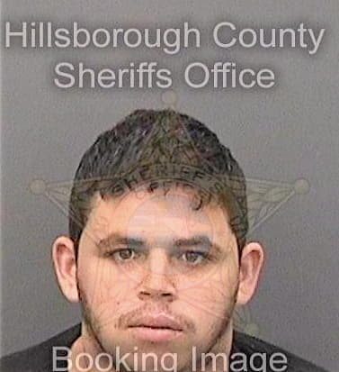 Pereda-Ruiz Yasiel - Hillsborough County, FL 