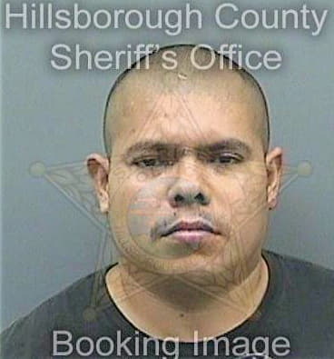 Ontiveros Julio - Hillsborough County, FL 