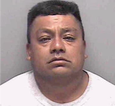 Hernandez Anselmo - Lee County, FL 