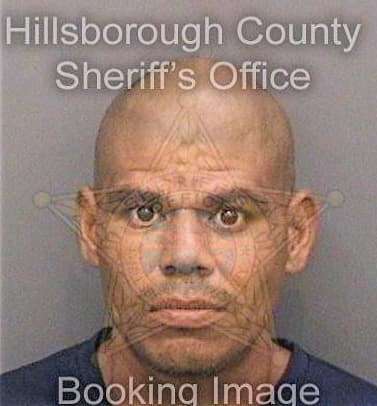 Limon Jose - Hillsborough County, FL 