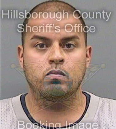 Deleon Carlos - Hillsborough County, FL 