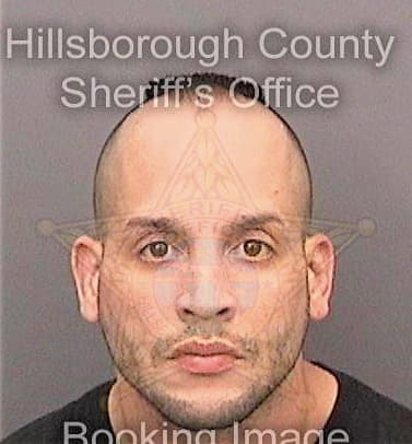 Delvallenazario Nelson - Hillsborough County, FL 