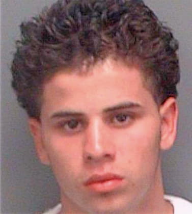 Hernandez Joseph - Pinellas County, FL 