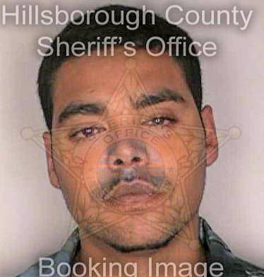 Sierra Benjamin - Hillsborough County, FL 