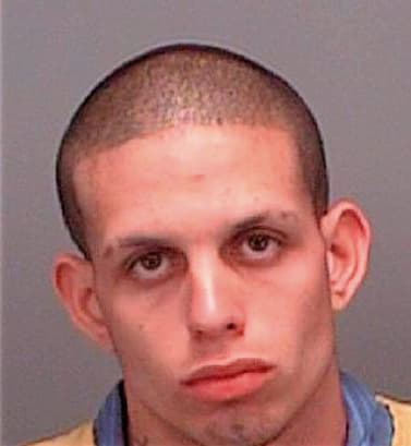 Sanchez Miguel - Pinellas County, FL 