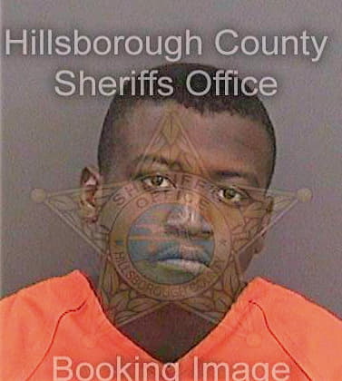 Outlaw Tarique - Hillsborough County, FL 