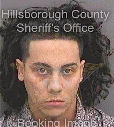 Desuyo Wenceslao - Hillsborough County, FL 