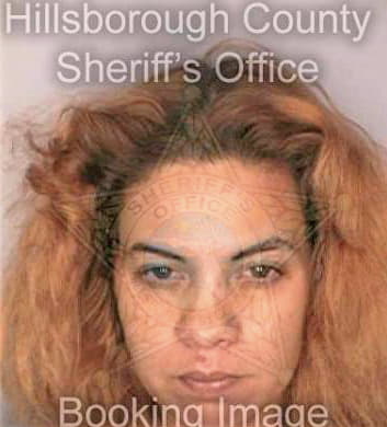 Borges Claritza - Hillsborough County, FL 