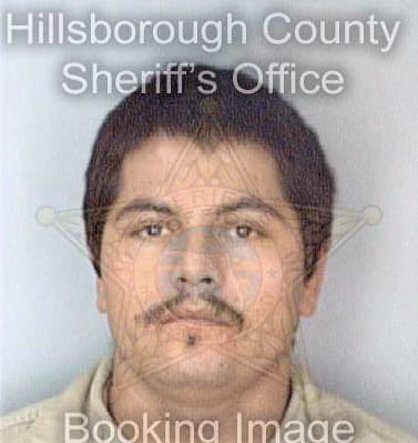 Lopez Jose - Hillsborough County, FL 