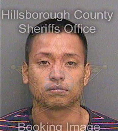 Salasperez Ervin - Hillsborough County, FL 