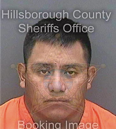 Jimenezgomez Manuel - Hillsborough County, FL 