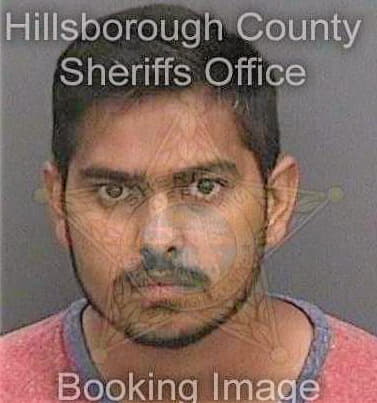 Patel Sai - Hillsborough County, FL 