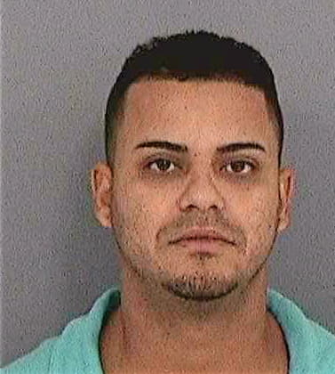 Gonzalez Jesus - Hillsborough County, FL 